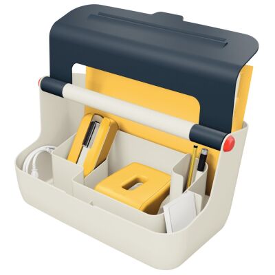 Mobile Aufbewahrungsbox Cosy, farbiger Deckel, Tragegriff, mehrere Unterteilungen, Maße: 367 x 196 x 214 mm