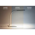 LED-Tischleuchte MAULpearly, Standfuß,...