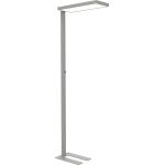 LED-Standleuchte MAULjura, Diffusor für geringen...