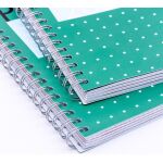Pukka Metallic Organiserbook 100 Blatt