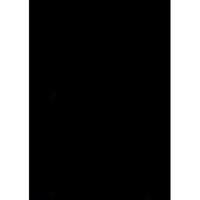 Rückwände, DIN A4, Lederstil, schwarz, 250 /qm Karton