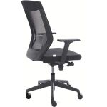 Drehstuhl, Rückenlehne Netz, Armlehnen, bis 125 kg