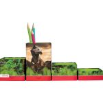 Stifteköcher Set, Pappe, faltbar, Einhornportrait