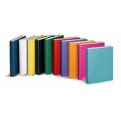 Ringordner Basic, DIN A4, Füllhöhe 25 mm, 2-D-Ringmechanik, 10 Stück