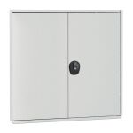 Flügeltüren 1000 x 1000 (H x B),...